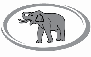 Wild Elephant hawai